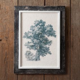 English Oak Vintage Tree Wall Art