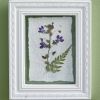 Pressed Botanical Wall Decor - Violets