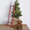 Believe Ladder Wall Decor