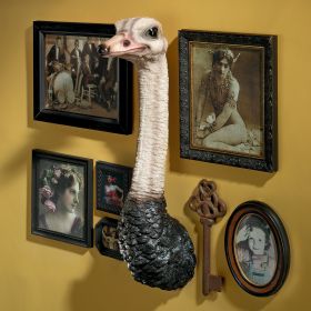 OSTRICH TROPHY BIRD WALL SCULPTURE