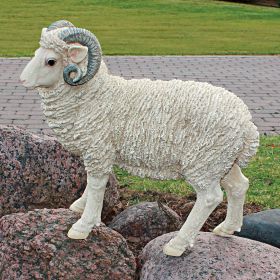 HORNED DORSET SHEEP STATUE