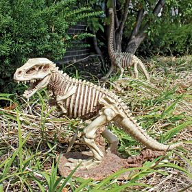 T-REX DINOSAUR SKELETON STATUE