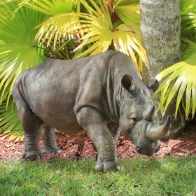 SOUTH AFRICAN RHINO                             NR