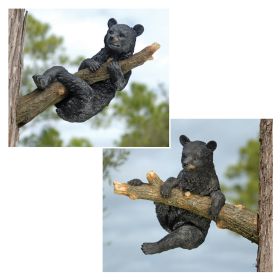 S/ CLIMBING & HANGING BEARS