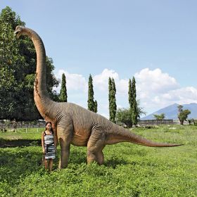 BRACHIOSAURUS LOOKING FORWARD               FRT-NR