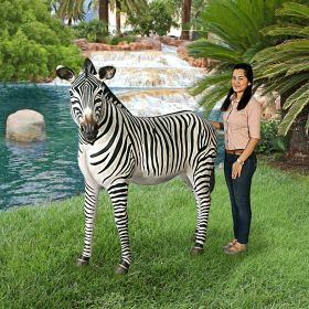 GRAND SCALE ADULT ZEBRA STATUE              FRT-NR