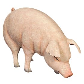 DIVINE SWINE LIFE SIZE FARM PIG STATUE      FRT-NR