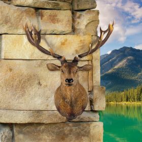 GRAND STAG HEAD WALL DECOR                      NR