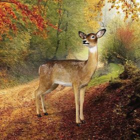 DOE WHITE TAIL DEER STATUE                  FRT-NR