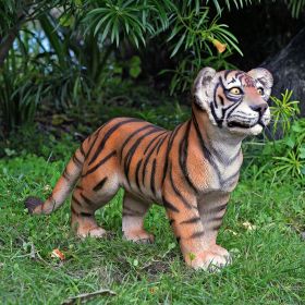 STANDING TIGER CUB                              NR