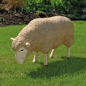 MERINO EWE W/ HEAD DOWN                     OS3-NR