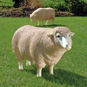 MERINO EWE W/ HEAD UP                       OS3-NR