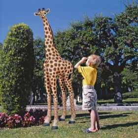 MOMBASA THE GARDEN GIRAFFE                  FRT-NR