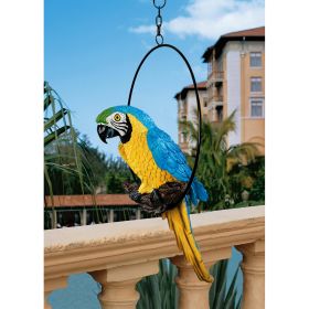 MEDIUM POLLY IN PARADISE PARROT