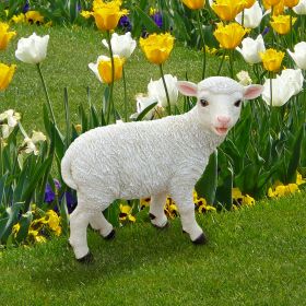 STANDING YORKSHIRE LAMB