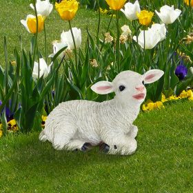 SITTING YORKSHIRE LAMB