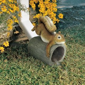 CRASH THE SQUIRREL RAIN GUTTER