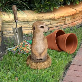 MEERKAT COMING OUT OF GROUND STATUE