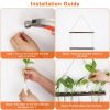 3-Tier Wall Hanging Planter Glass Hydroponic Vase Plant Flower Propagation Tube Planter Terrarium with Wooden Stand