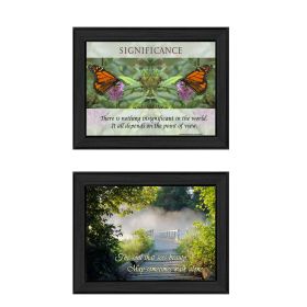 "Beauty Collection" 2-Piece Vignette By Trendy Decor4U, Printed Wall Art, Ready To Hang Framed Poster, Black Frame (Color: as Pic)